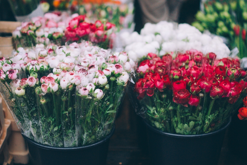 fleuriste-CIPIERES-min_farmers-market-1209712