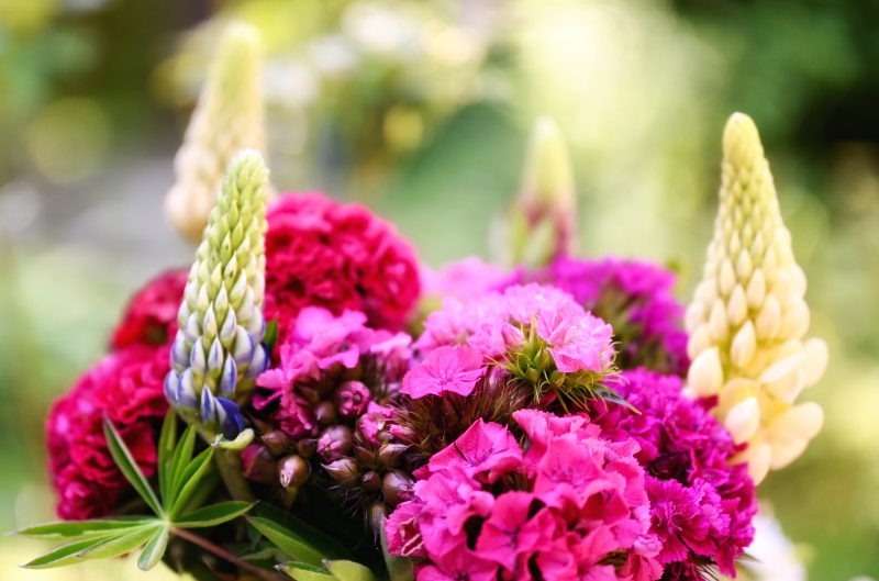 fleuriste-CIPIERES-min_flowers-5369794